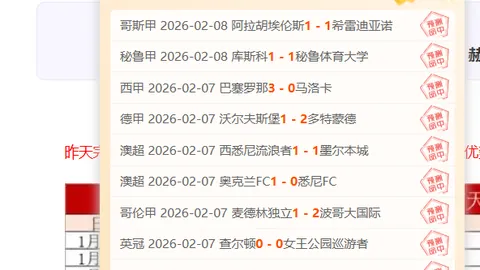 《卫报》：切尔西渴望帕尔默迅速复出，马雷斯卡称伤病影响球队进攻火力