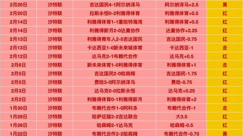 普拉斯加盟霍芬海姆，转会金1100-1200万欧可额外追加
